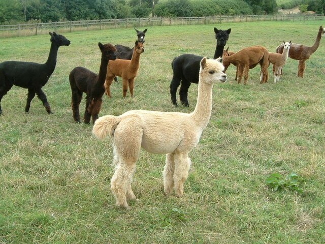 Foto „Horley“ von Chris Beach (CC BY-SA)/zugeschnittenes Original