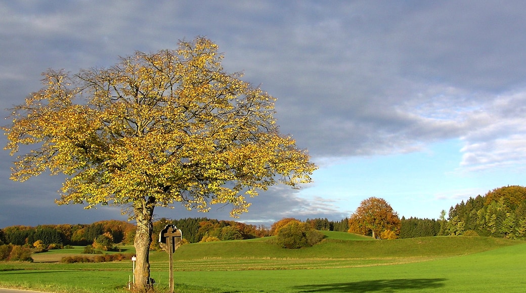 Foto "Starnberg" oleh Boschfoto (CC BY-SA) / Dipotong dari foto asli