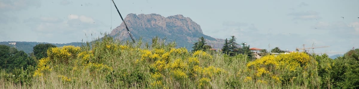 Photo "Base Nature François Léotard" by qwesy qwesy (Creative Commons Attribution 3.0) / Cropped from original
