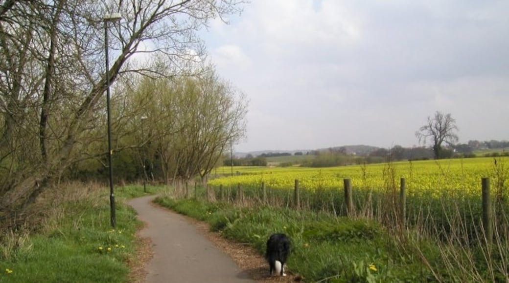 Foto ‘Catshill’ van Chris McMillan (CC BY-SA) / bijgesneden versie van origineel