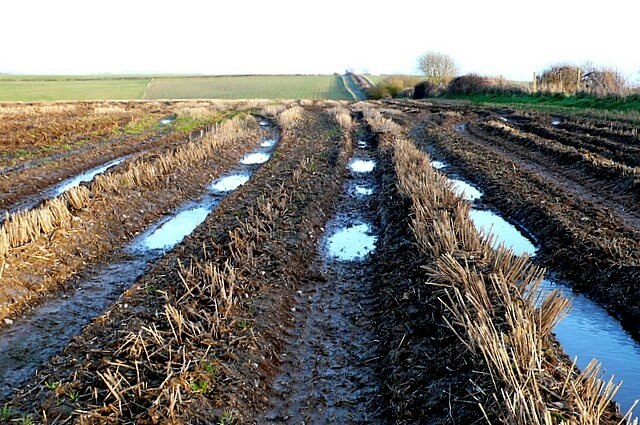 Foto "West Compton" por Nigel Mykura (CC BY-SA) / Recortada de la original