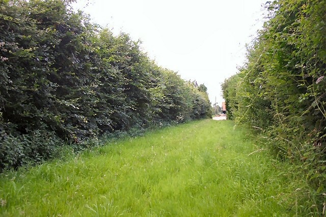 Footpath to Tittleshall This path leads between high hedges towards High House Farm on the southern edge of the village of Tittleshall.