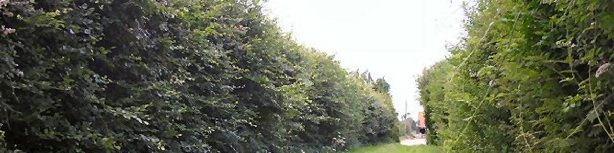Photo "Footpath to Tittleshall This path leads between high hedges towards High House Farm on the southern edge of the village of Tittleshall." by Bob Jones (Creative Commons Attribution-Share Alike 2.0) / Cropped from original