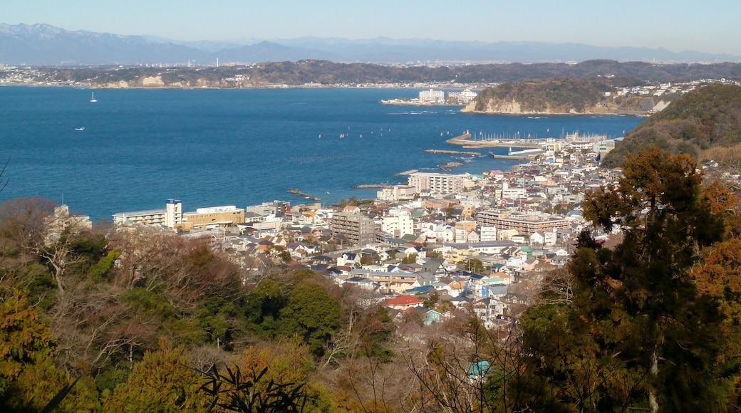 Hayama