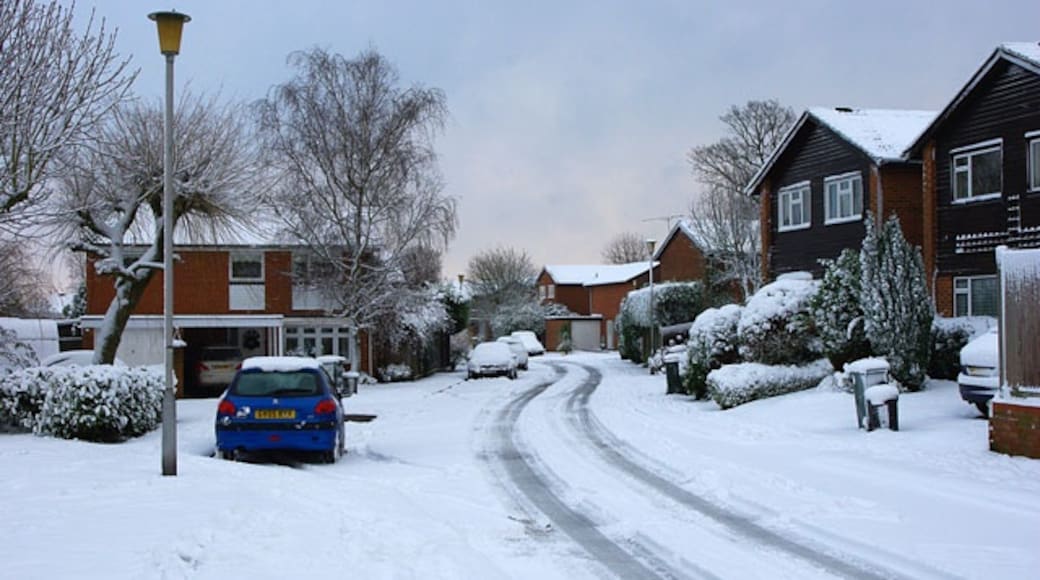 « Pound Hill», photo de Robin Webster (CC BY-SA) / rognée de l’originale