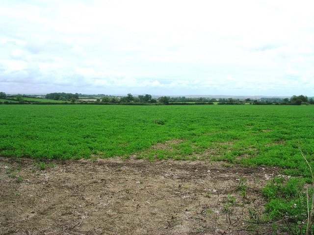 Bondip Hill facing East View from lay-by on Bondip Hill facing east across fields