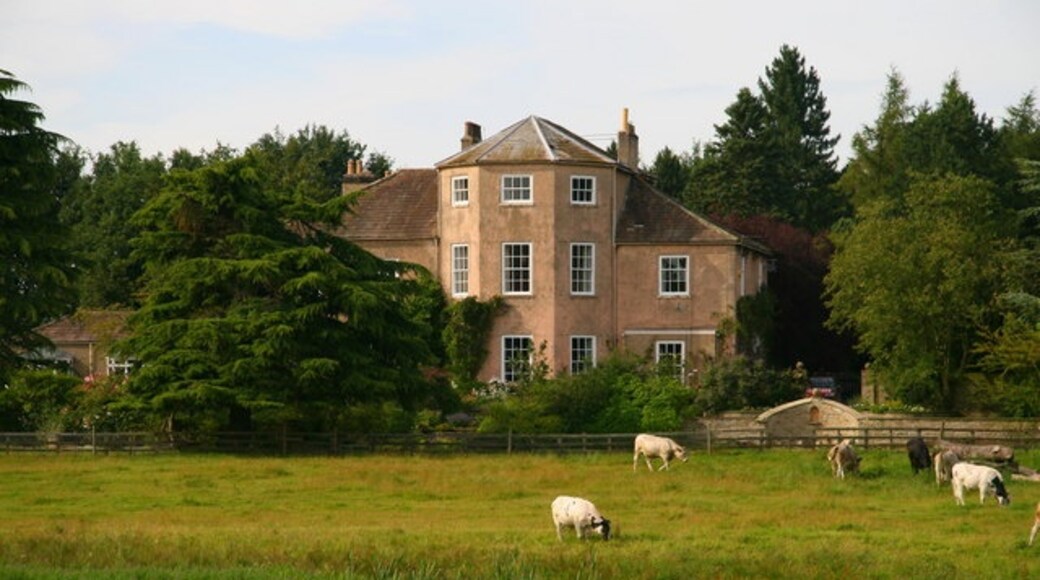 Foto “Firby” tomada por David Rogers (CC BY-SA); recorte de la original