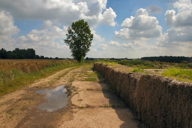 Farm track near Weasenham This track leads eastwards from the minor road between Weasenham All Saints and Litcham Heath.