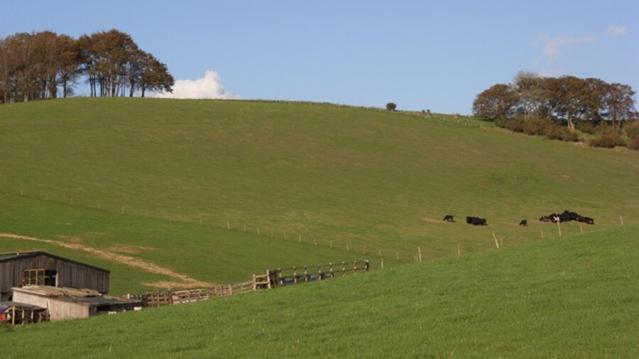 Photo "Downland near Wanborough Cattle grazing in the coombe above Hillside Farm." by Andrew Smith (Creative Commons Attribution-Share Alike 2.0) / Cropped from original