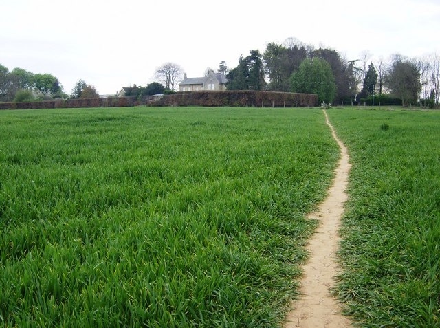 Approaching Easton-on-the-Hill Along a footpath approaching the village from the north-east. The clear footpath is heading directly for the church, which is completely hidden behind the trees.