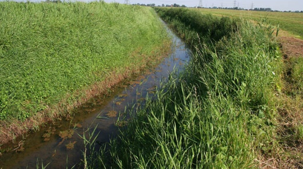 Foto "Moulton" de Kate Jewell (CC BY-SA) / Recortada do original