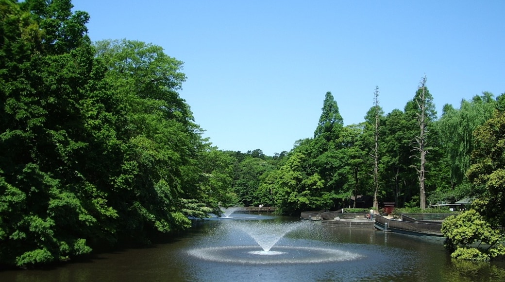 Photo "Inokashira Park" by koji_h (CC BY) / Cropped from original