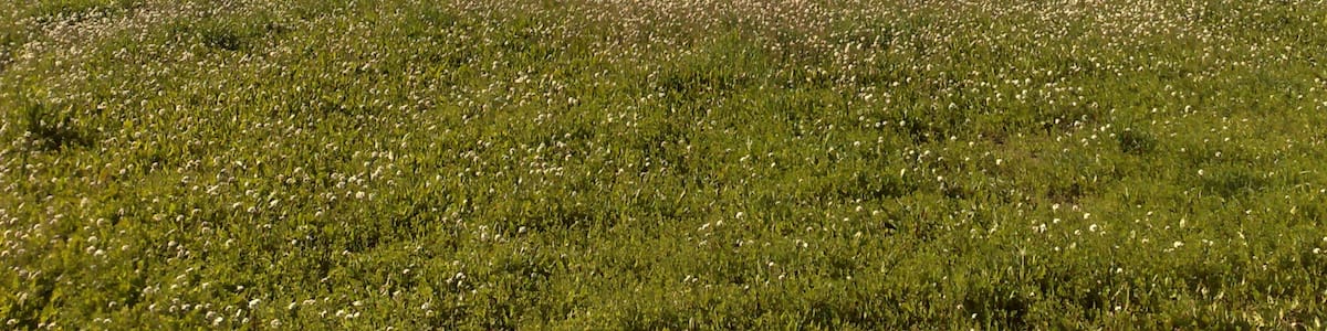 Photo "Catral, vista hacía Callosa de Segura" by fred adam (Creative Commons Attribution-Share Alike 3.0) / Cropped from original