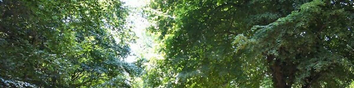 Photo "The Plains, Ampton. This clearing, known as the Plains, runs parallel to the minor road between Ampton and Timworth." by Bob Jones (Creative Commons Attribution-Share Alike 2.0) / Cropped from original