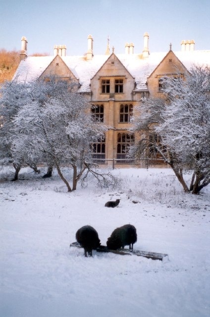 Woodchester Mansion in snow.