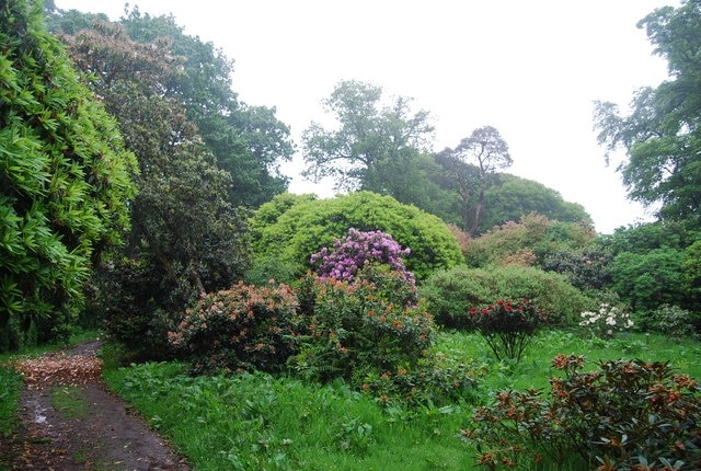 Colour in the grounds of Muncaster Castle