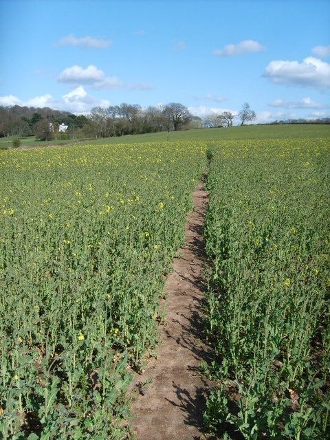 Field Path A Path leaves the A449 Road.