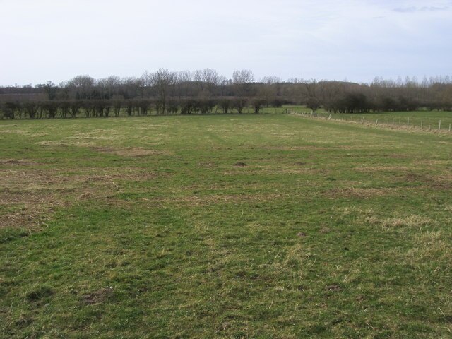 Fields down to River Thame Fields down to River Thame North of Chiselhampton