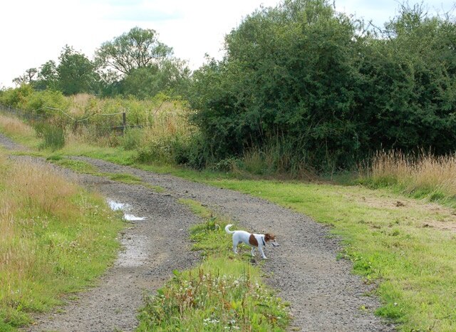 "Catesby"-foto av Andy F (CC BY-SA) / Urklipp från original