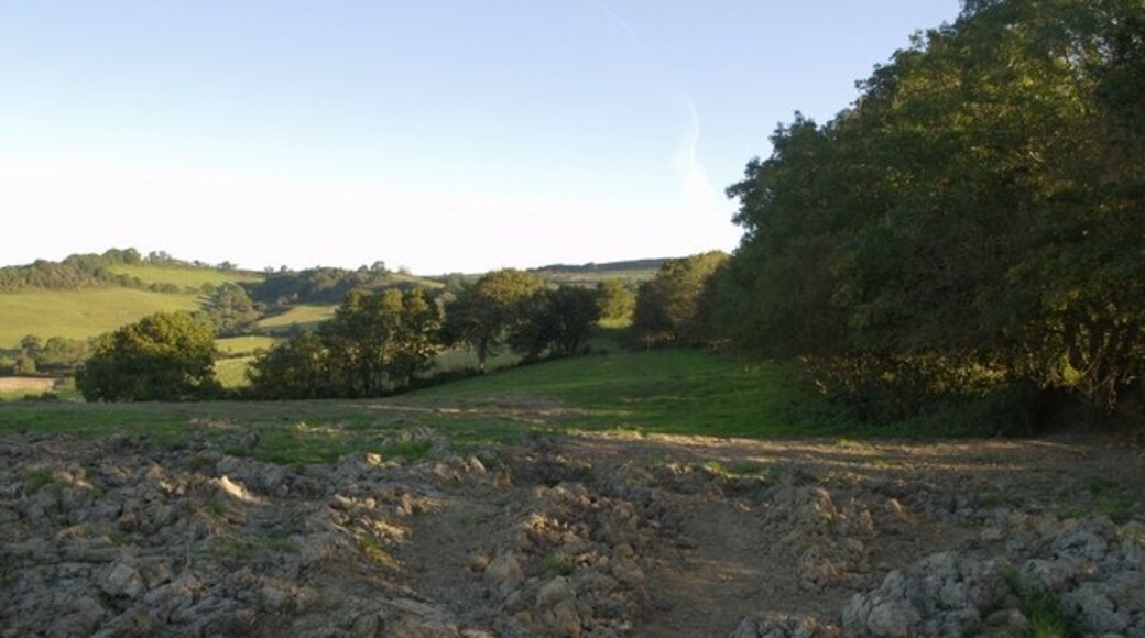 Foto "Bettiscombe" de Derek Harper (CC BY-SA) / Recortada do original