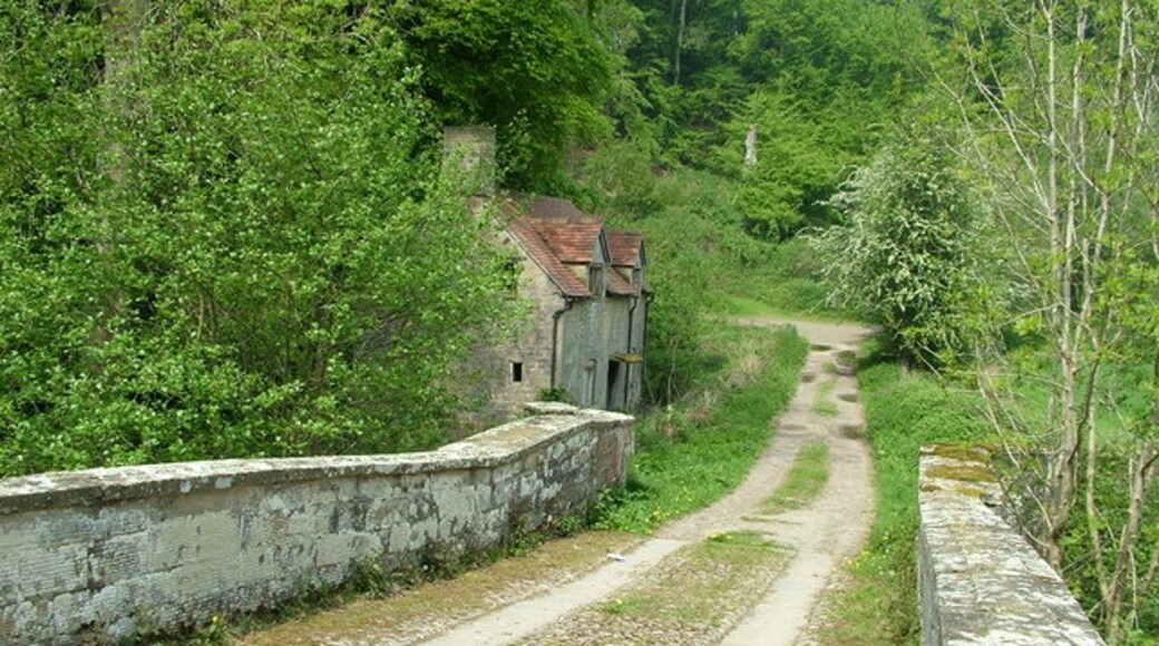 Photo "Burrington" by Peter Evans (CC BY-SA) / Cropped from original