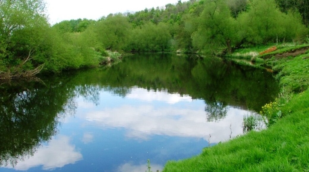 Foto “Low Worsall” tomada por Mick Garratt (CC BY-SA); recorte de la original