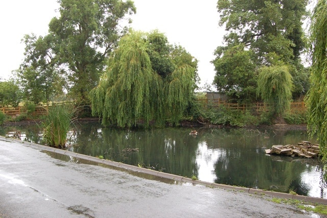 The village pond, Willoughby (1)