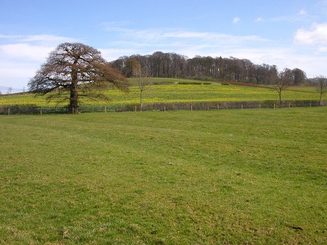 Foto „Cottesbrooke“ von Ian Rob (CC BY-SA)/zugeschnittenes Original