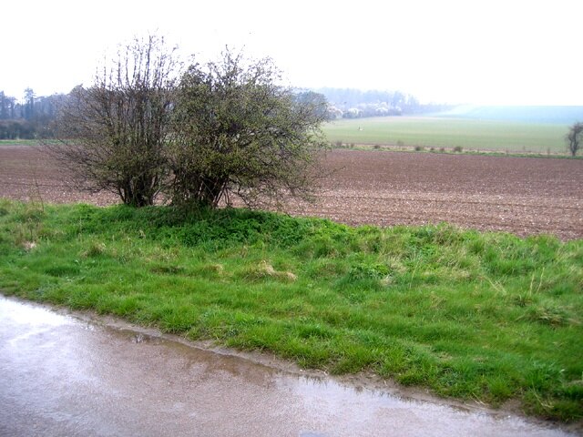 Kuva ”Ickleton” käyttäjältä Rodney Burton (CC BY-SA) / rajattu alkuperäisestä kuvasta