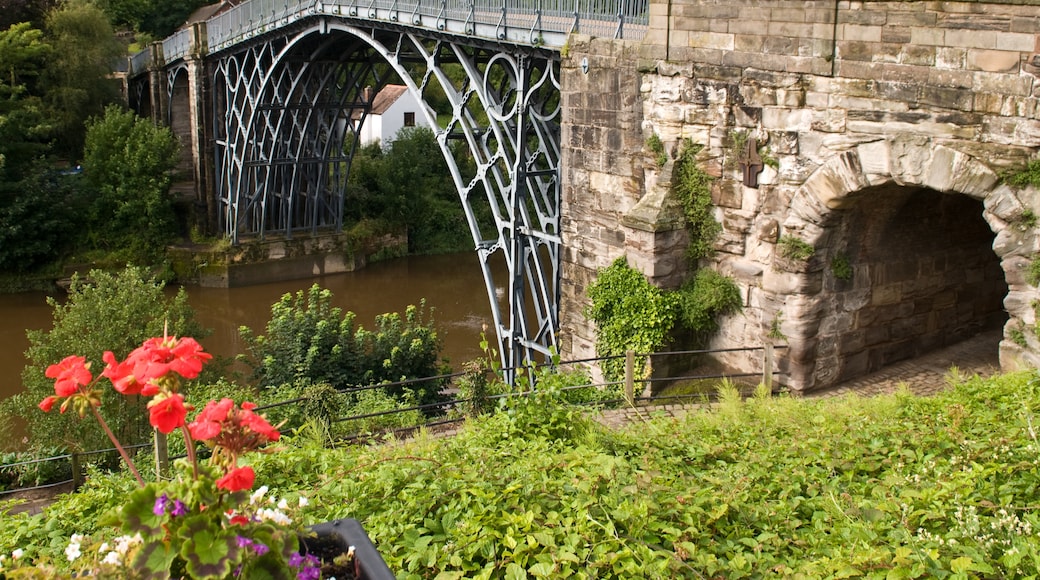 Photo "Iron Bridge" by Michal Osmenda (CC BY-SA) / Cropped from original