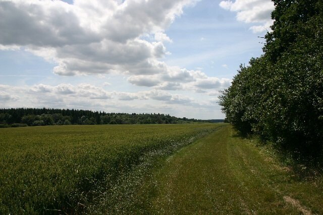Kuva ”Stanstead” käyttäjältä Bob Jones (CC BY-SA) / rajattu alkuperäisestä kuvasta