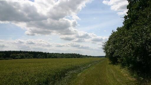 Kuva ”Stanstead” käyttäjältä Bob Jones (CC BY-SA) / rajattu alkuperäisestä kuvasta