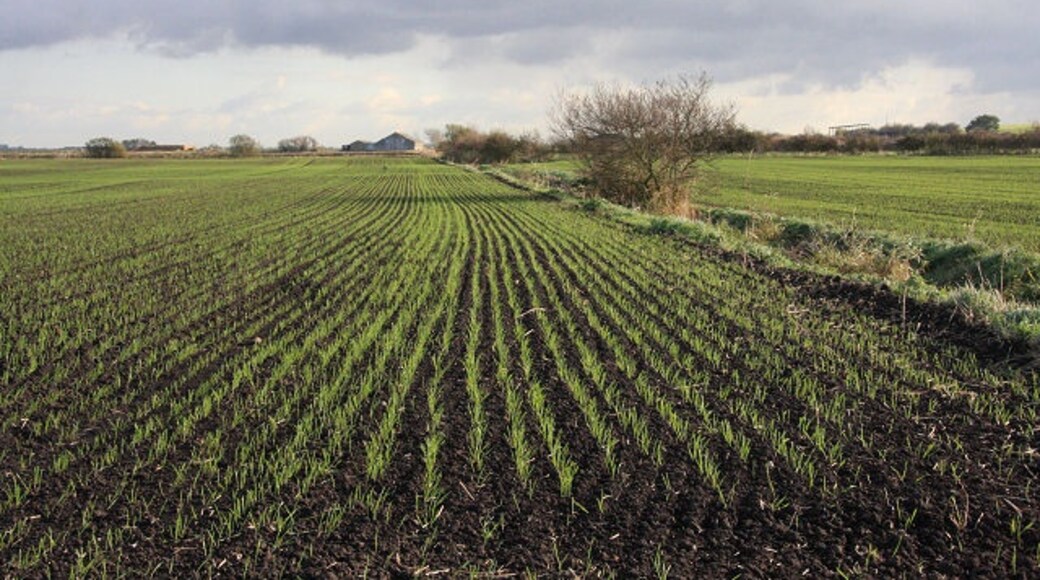 Foto “Warboys” tomada por Bob Jones (CC BY-SA); recorte de la original