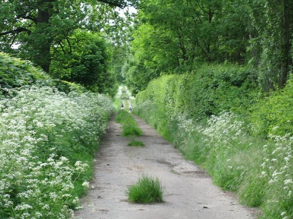 Photo "Askham Bryan" by Ken Crosby (CC BY-SA) / Cropped from original