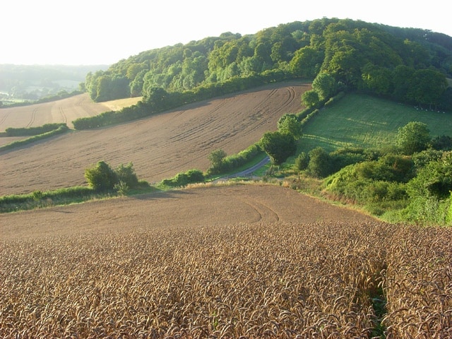 Farmland, Saunderton Looking down from Slough Hill to Allnutt's Wood.