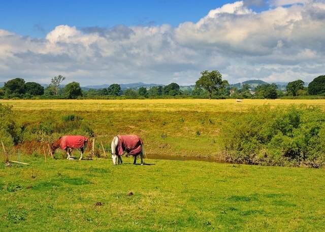Billede "Kinnerley" af Rod Trevaskus (CC BY-SA) / beskåret fra det originale billede