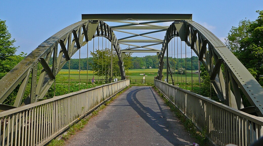 Foto “Denton” tomada por Tim Green (CC BY); recorte de la original