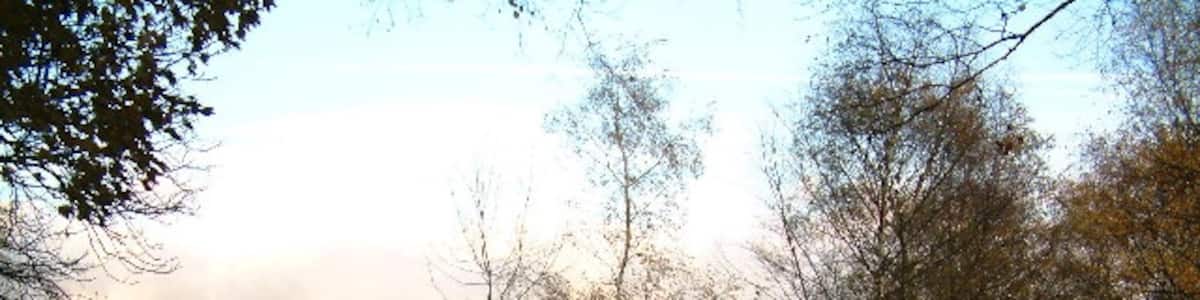 Photo "Shirley Park, Shirley." by Darius Khan (Creative Commons Attribution-Share Alike 2.0) / Cropped from original