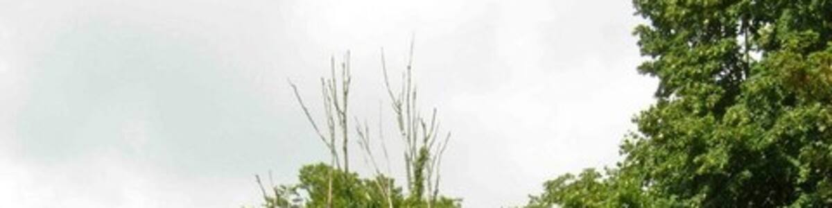 Photo "Cranwich Church. Although not far from the busy A134, the round tower of this church is almost completely hidden in the trees." by Stephen McKay (Creative Commons Attribution-Share Alike 2.0) / Cropped from original