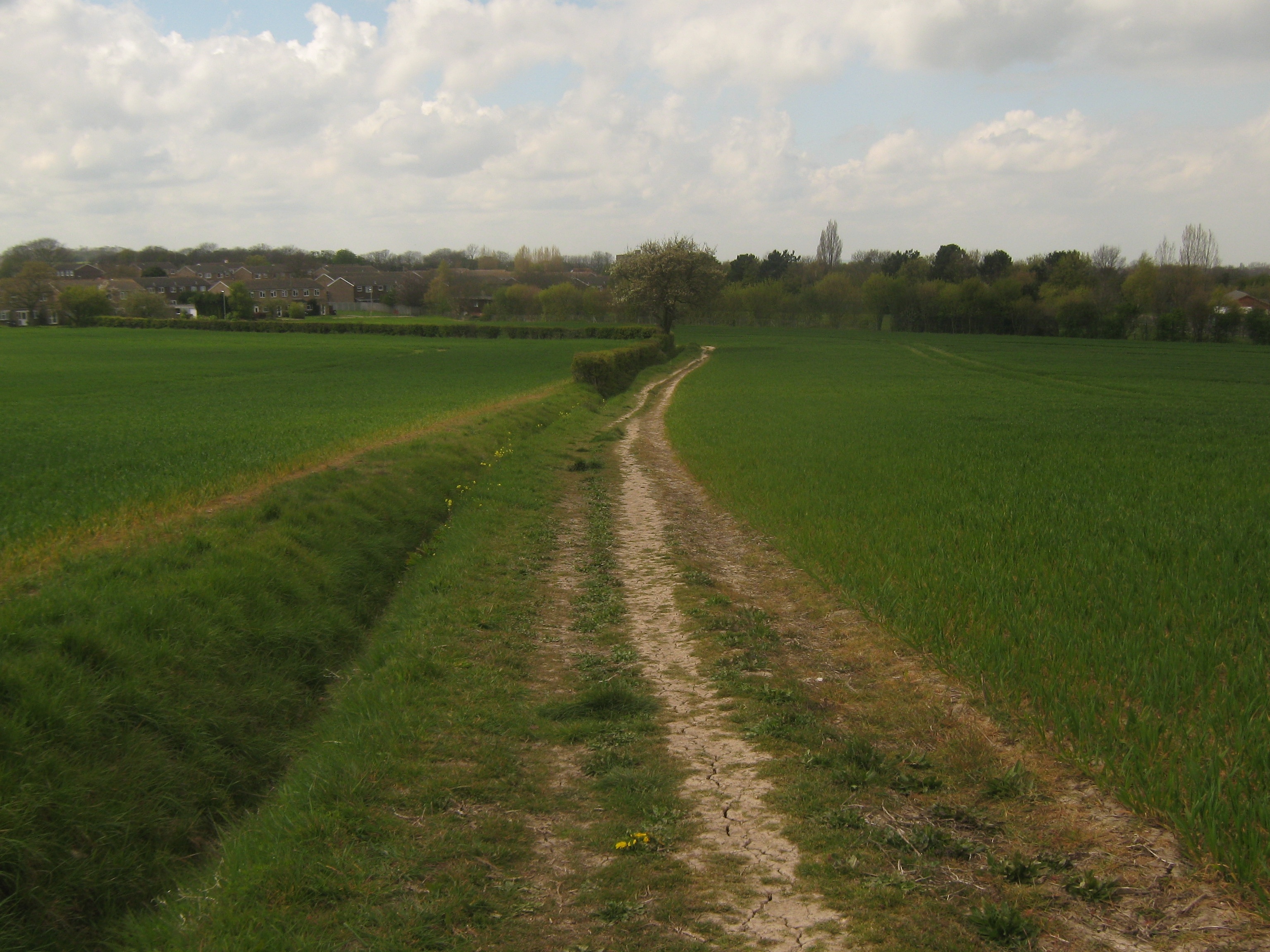 Foto "Herne y Broomfield" por David Anstiss (CC BY-SA) / Recortada de la original