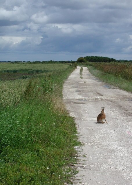 Foto “Routh” tomada por Paul Glazzard (CC BY-SA); recorte de la original