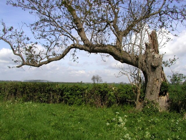 "Riston"-foto av Andy Beecroft (CC BY-SA) / Urklipp från original