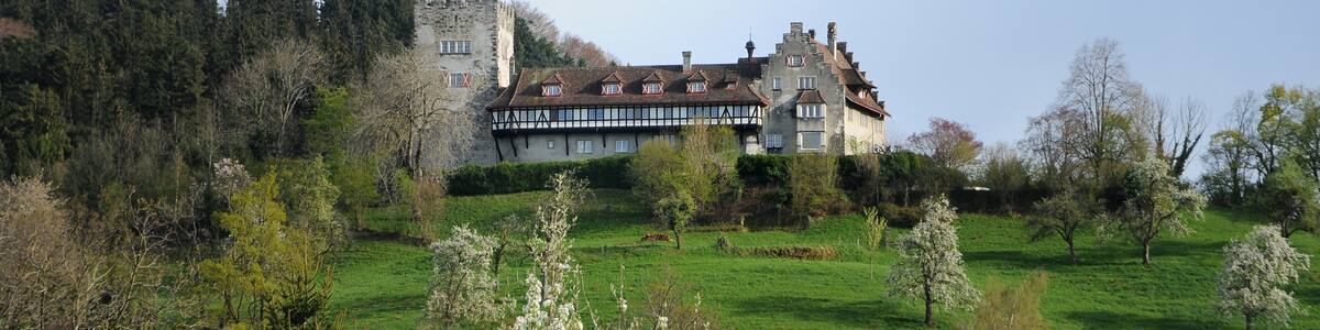 Photo "Schloss Wolfurt" by Böhringer (Creative Commons Attribution 3.0 at) / Cropped from original