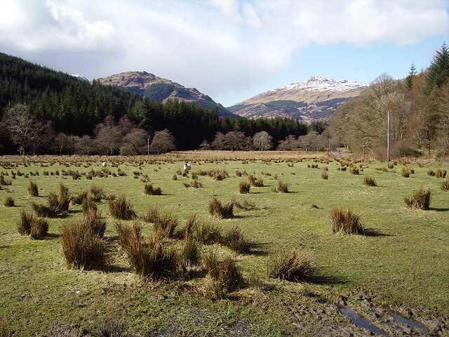 Glen Goil View along improved, but returning to wet, land up the Goil Water . Stob an Eas in the background.