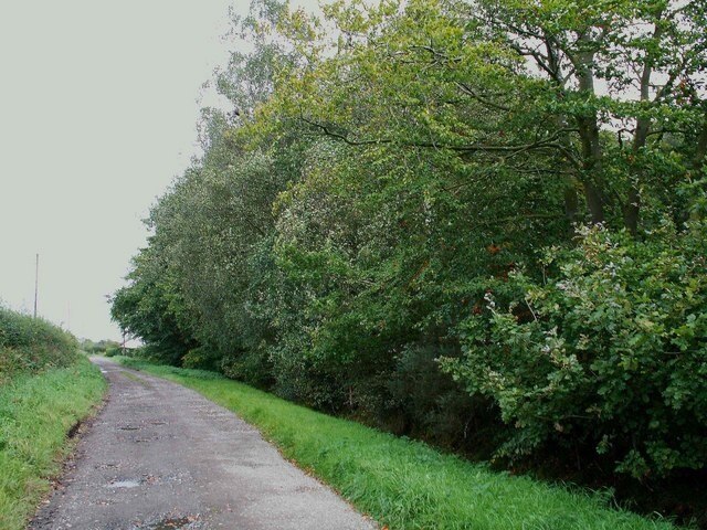 "Westlinton"-foto av Rose and Trev Clough (CC BY-SA) / Urklipp från original