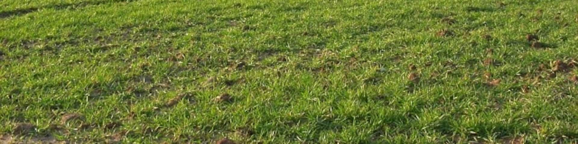 Farmland, Sulham Rolling countryside above the valley of Sulham Brook and the River Pang viewed from the dovecote above Nunhide Manor.