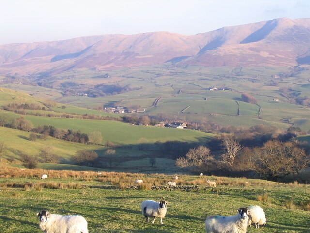 Foto „Firbank“ von M J Richardson (CC BY-SA)/zugeschnittenes Original