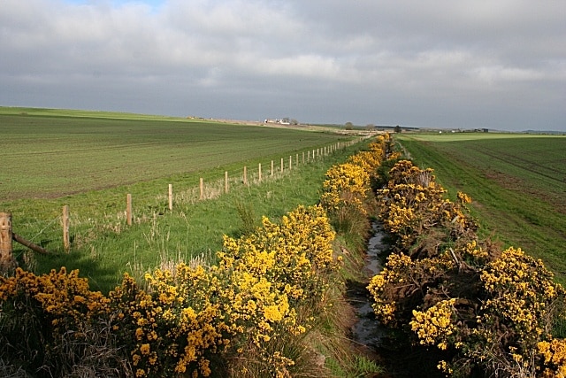 Lonmay This drainage ditch eventually empties into the Loch of Strathbeg. The farm on the skyline at left is Middleton of Lonmay, in the next grid square.