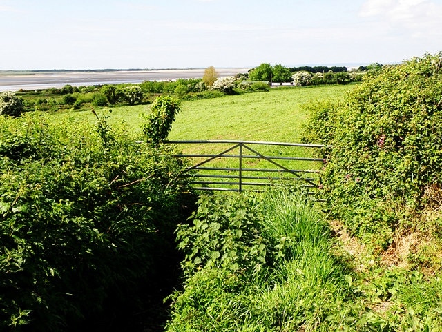 Looking towards the sea Farmland near Kidwelly. In the distance can be seen Gwendraeth, the mouth of Gwendraeth Fawr, as it reaches the sea at the same point as the Rivers Towy and Taf.