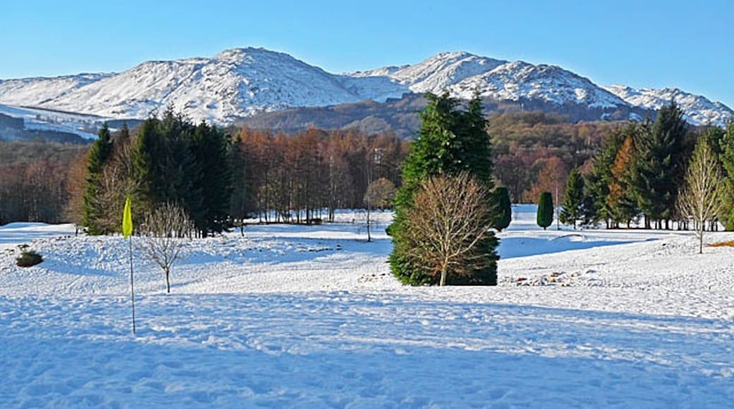 Photo "Comrie" by Dr Richard Murray (CC BY-SA) / Cropped from original